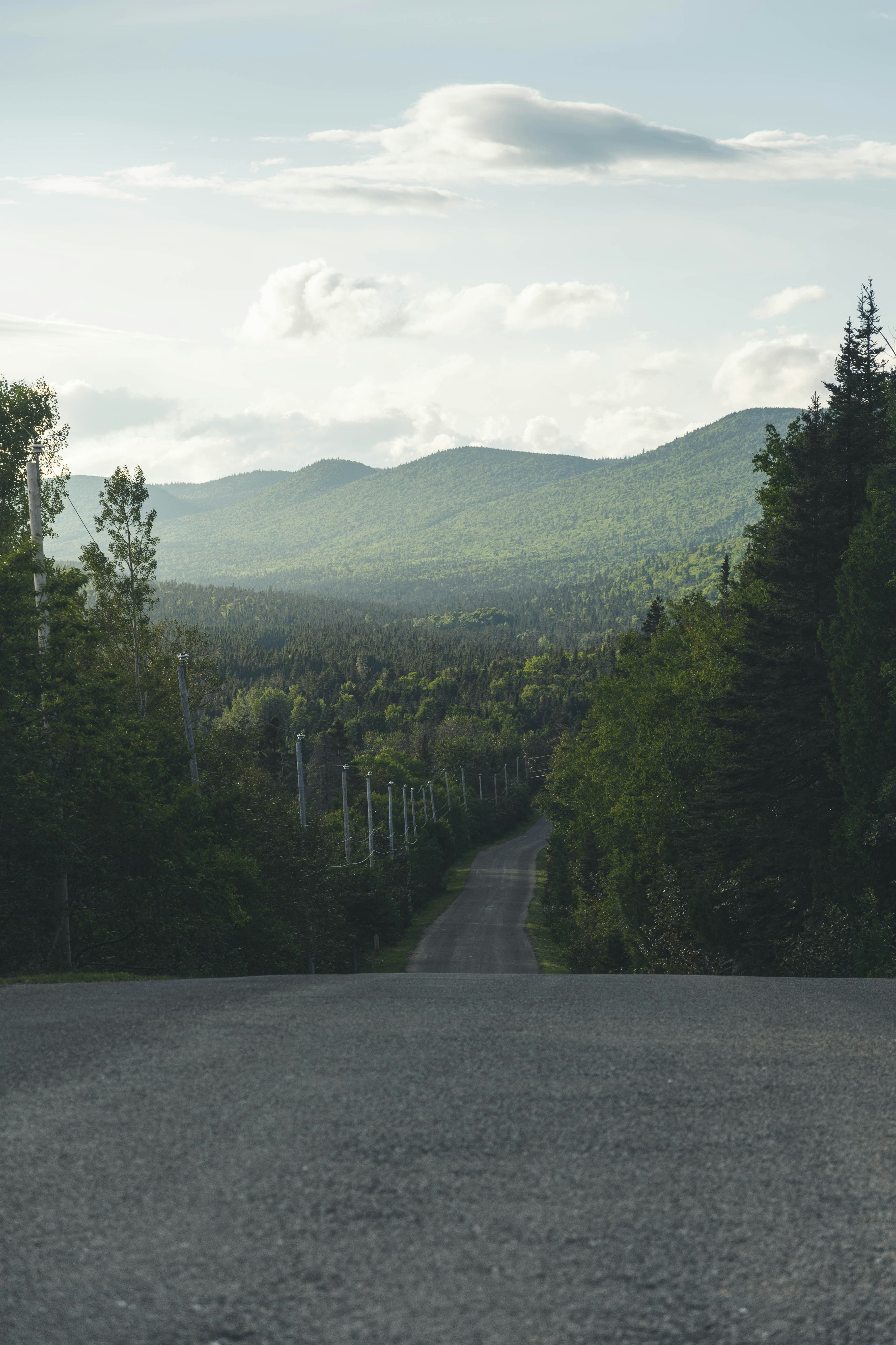 Paysage côtier